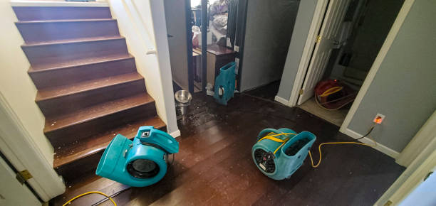 Best Water damage restoration near me  in Three Rivers, CA