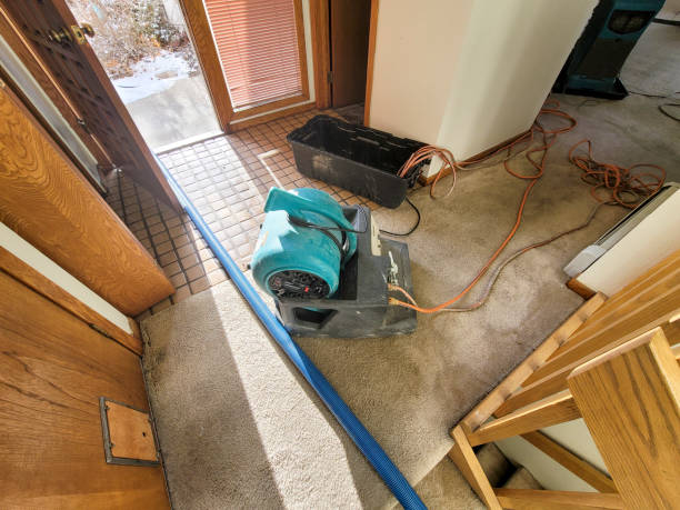 Best 24/7 water damage repair  in Three Rivers, CA