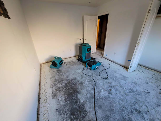Best Ceiling water damage repair  in Three Rivers, CA