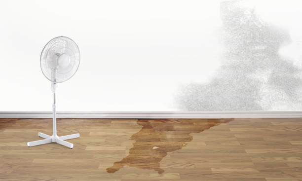 Best Local water damage restoration  in Three Rivers, CA