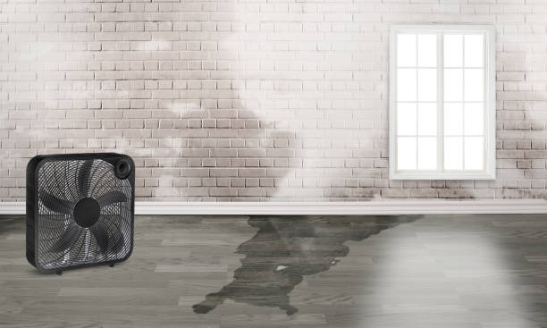 Best 24/7 water damage repair  in Three Rivers, CA