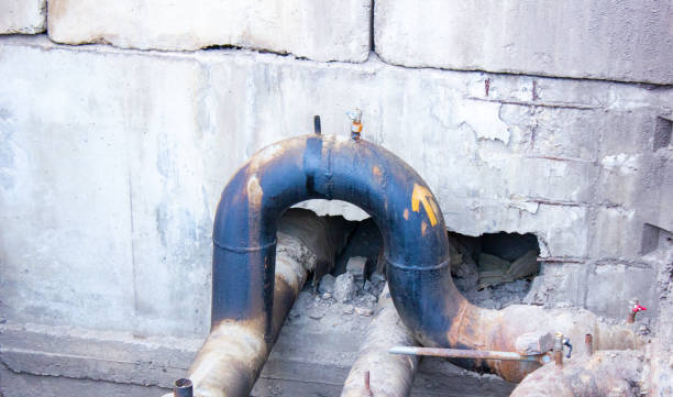 Best Local water damage restoration  in Three Rivers, CA