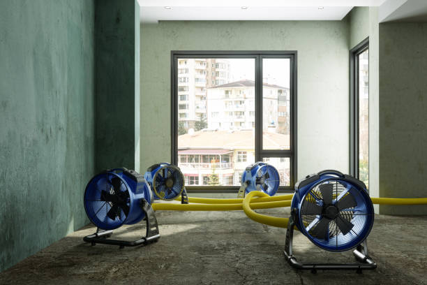 Best Carpet water damage restoration  in Three Rivers, CA