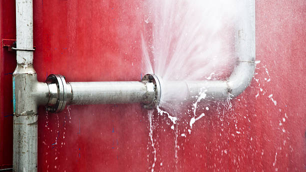 Best Professional water damage repair  in Three Rivers, CA